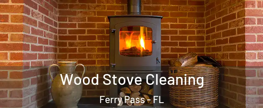  Wood Stove Cleaning Ferry Pass - FL